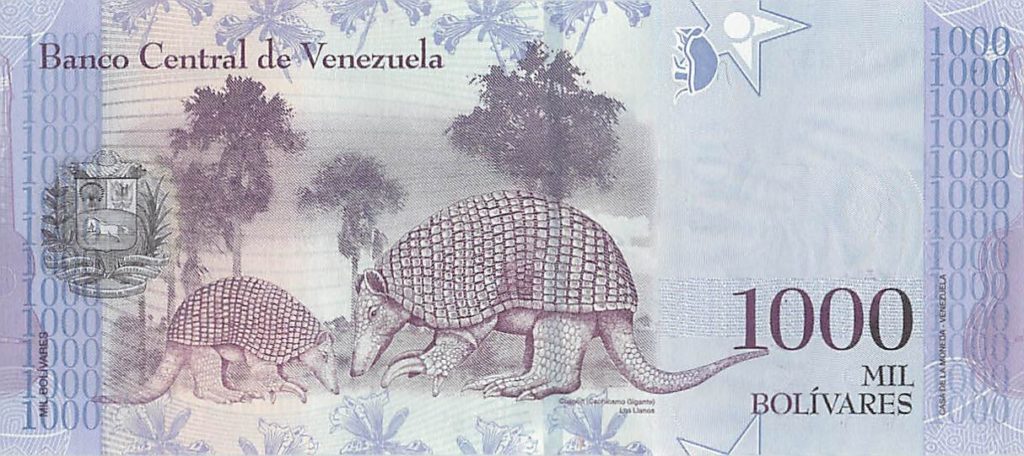This image has an empty alt attribute; its file name is 1-000-bolivares-reverse-1024x456.jpg